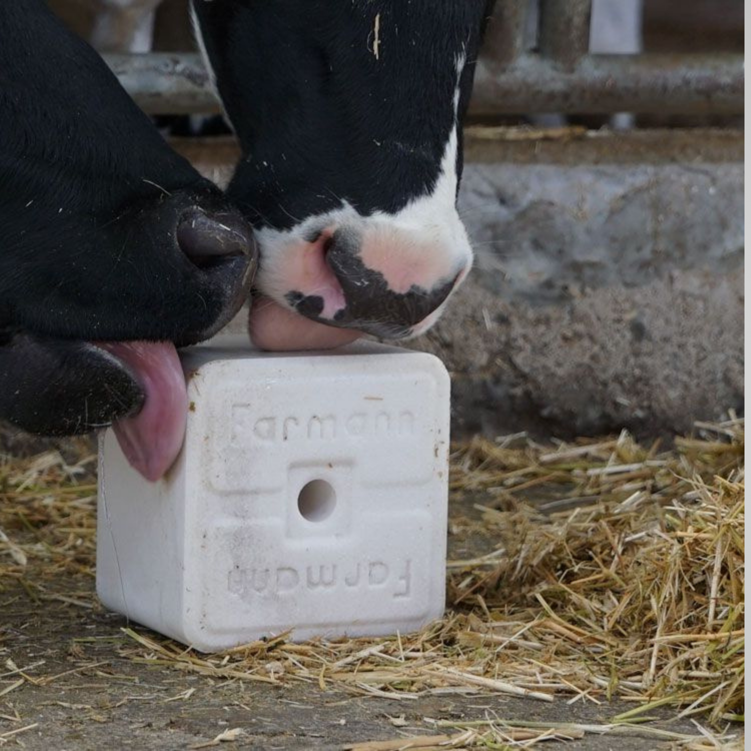 Himalayan Salt Animal Lick Block - Image 2